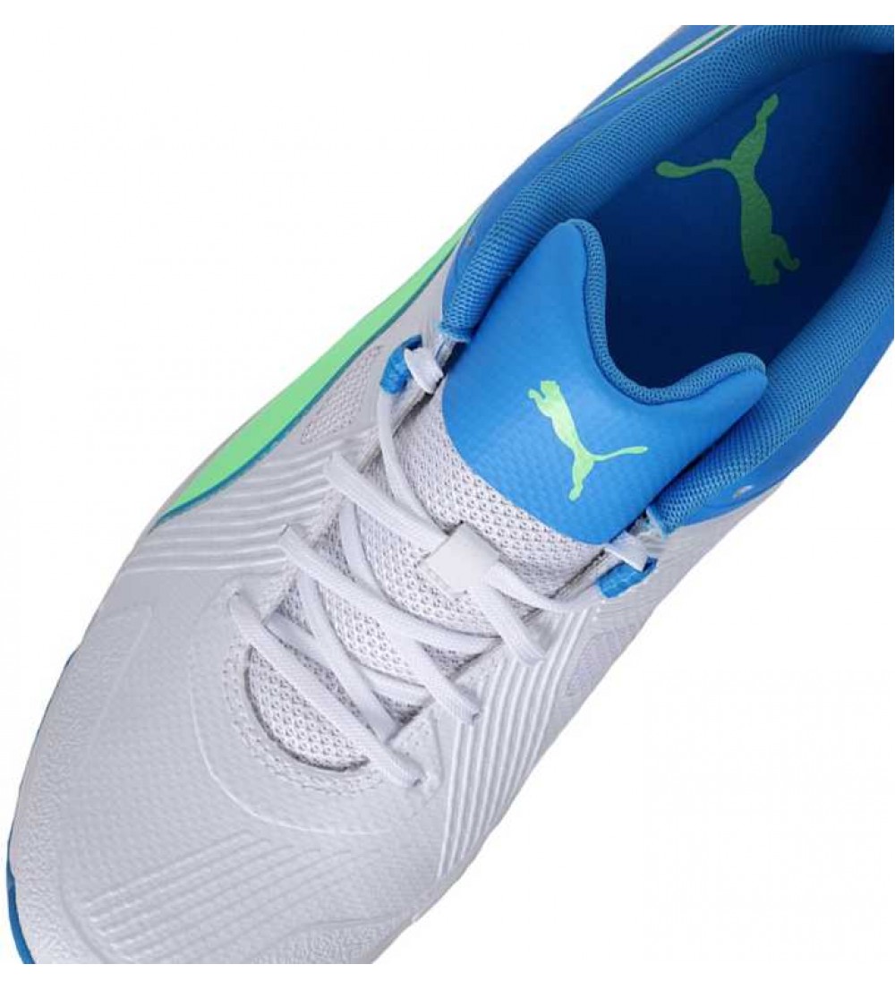 Puma  Spike 19.1 Cricket Shoes For Men  (White)